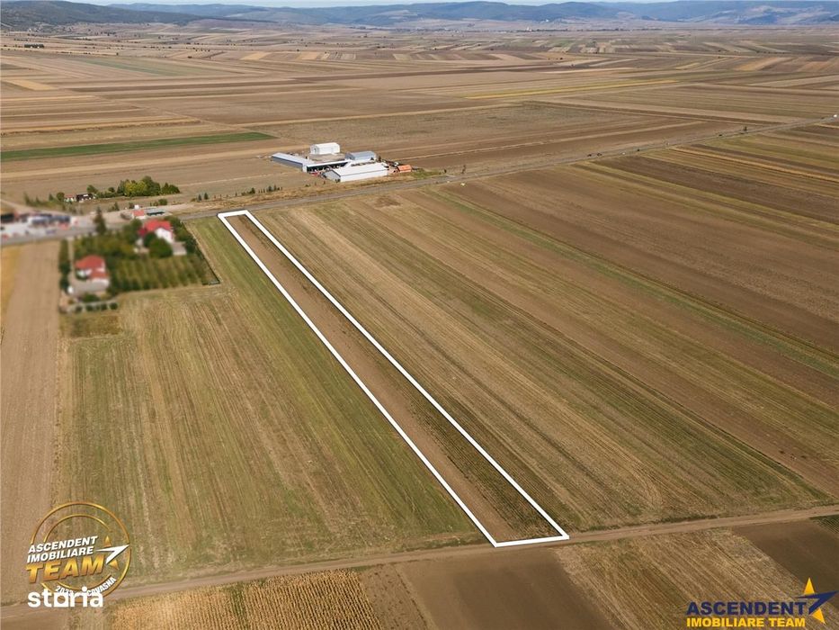 FILM! Teren intravilan 7.500 mp, deschidere dubla, DN11 (E574), Cernat