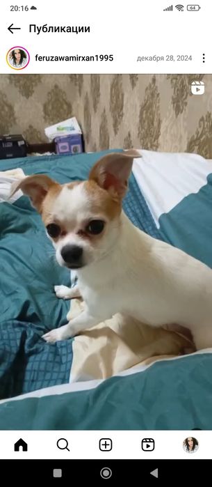 Мальчик ишо маленький