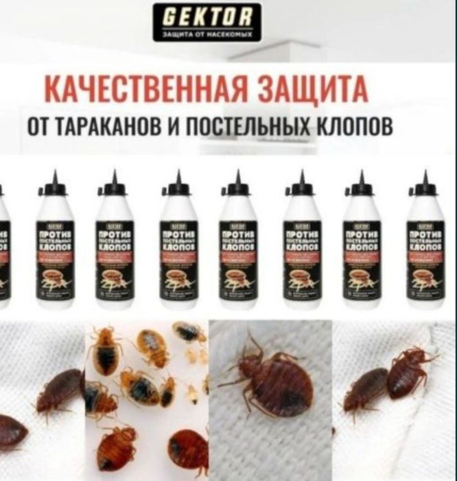 Advion Cockroach шприст от тараканов ОРИГИНАЛ! Tarakan dori