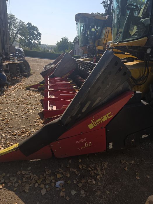 Heder Olimac Drago II 2021