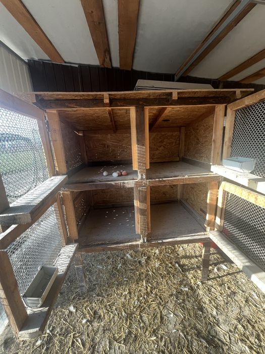 Cotet iepuri pui etc + accesorii