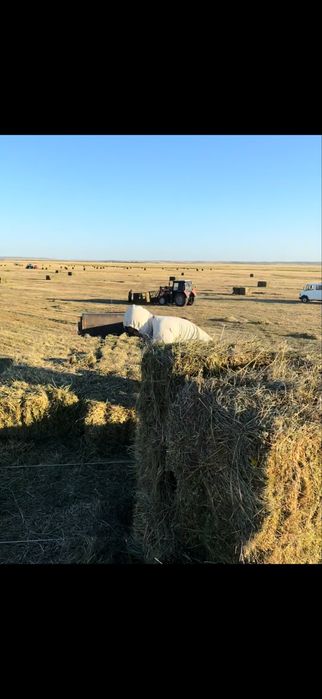 Продам сено, тюки,рулоны