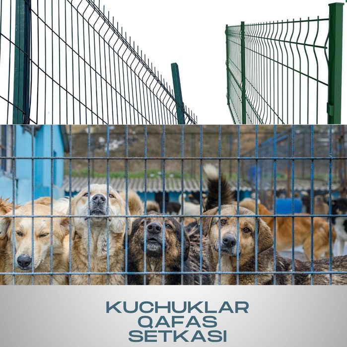 Еврозабор ва куш сеткалар ишлаб чикарувчидан yevro zabor evro zabor 3D