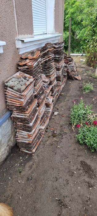 Țiglă leul Jimbolia