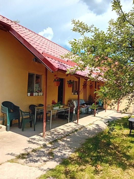 Vand teren 2986 mp + casa 5 camere, Dobrogostea, Jud Arges