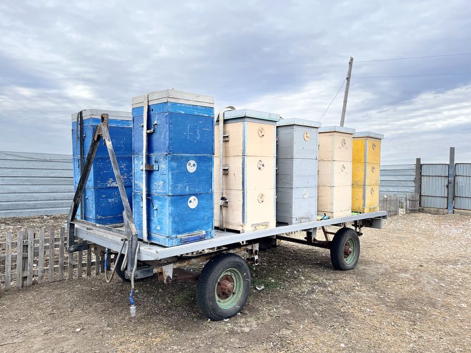 Прицеп пчеловода