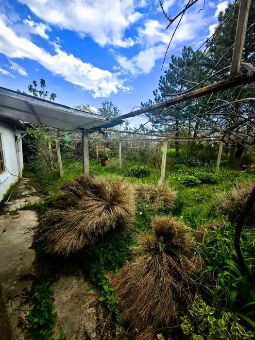 Продава се Къща в с. Ясеновец, Област Разград - 120 кв.м за 417 €/кв.м - Снимка #5