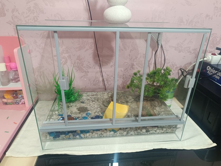 Terariu complet utilat cu doua broscuțe