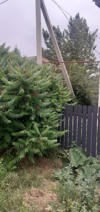 Земельный участок