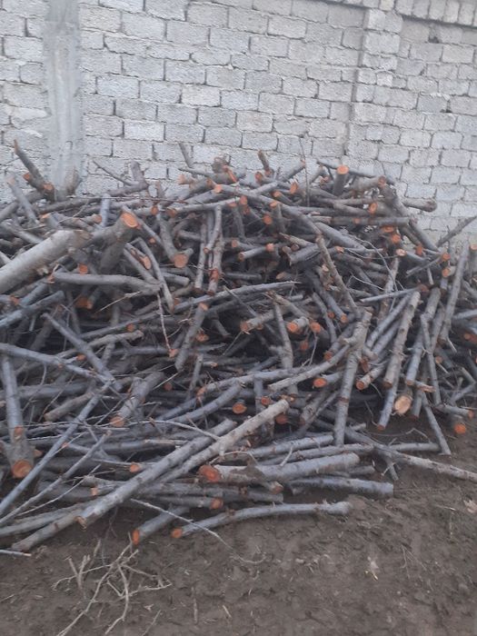 Васалик ва утин сотилади