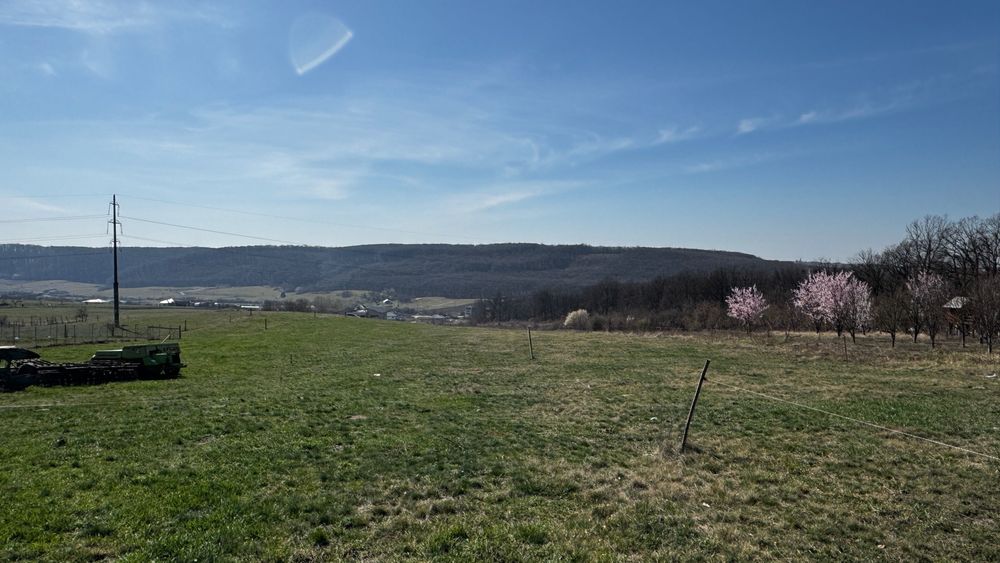 Teren intravilan de vânzare în Betfia, Sânmartin – 1.436 mp, asfalt și utilități la gard