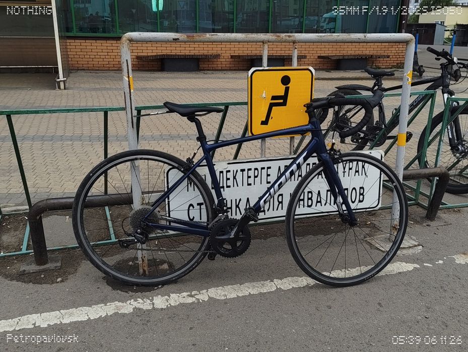 Giant contend 1 с торгом