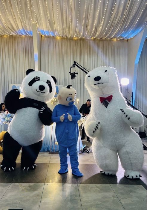 Mascote gonflabile/oglinda foto/masina baloane/tun fum/fum greu/tort