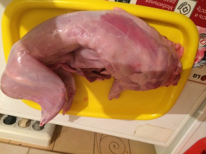 Крольчатина. Мясо кролика