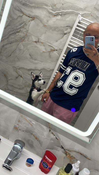 Se vinde Pui de husky in caesta de 3 luni
