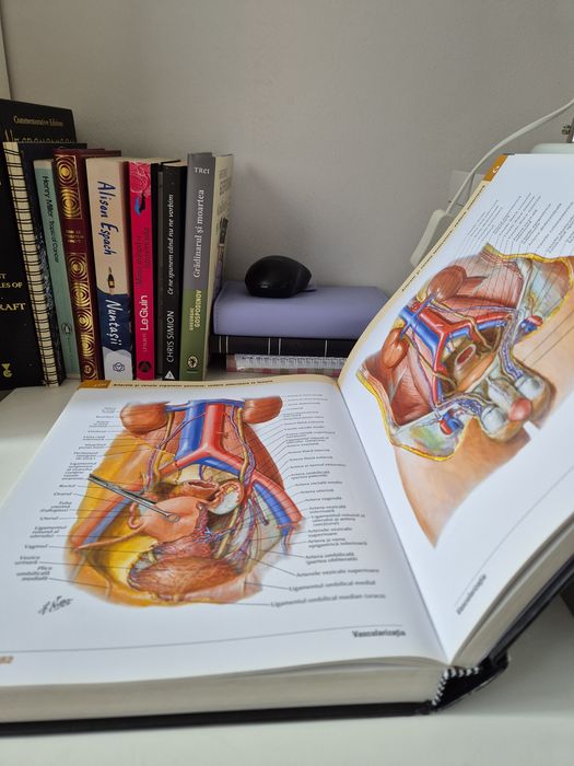 Atlas de Anatomie a Omului Frank Netter Ediția a 7-a