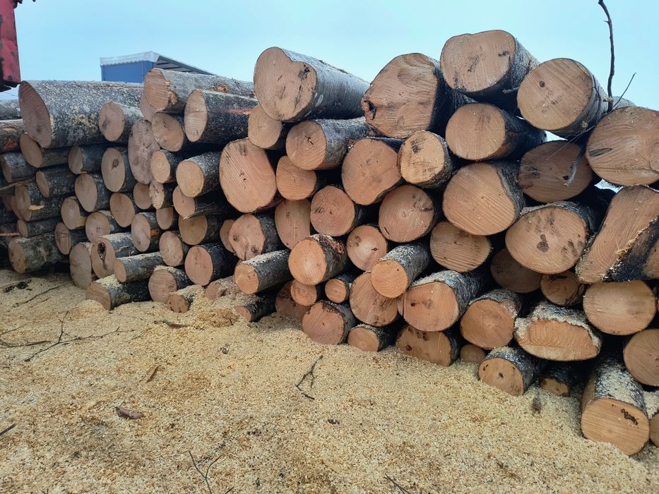 Vand lemne de foc carpen cu fag esenta tare