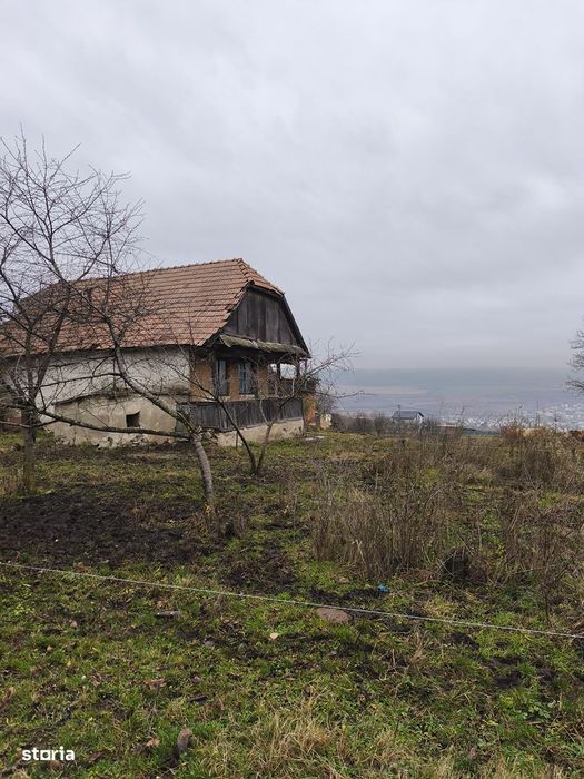 Teren 7721 mp racordat la rețeaua de electricitate