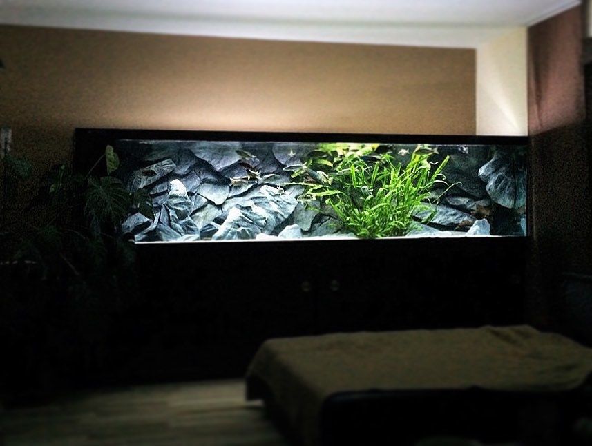 АКВА СЕРВИС Изготовление и ремонт аквариума обслуживание и другие усл