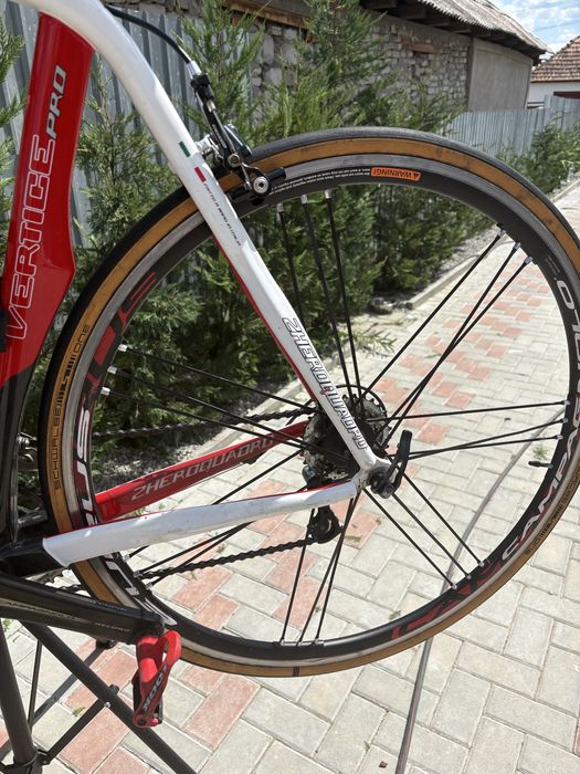 CURSIERA Full carbon