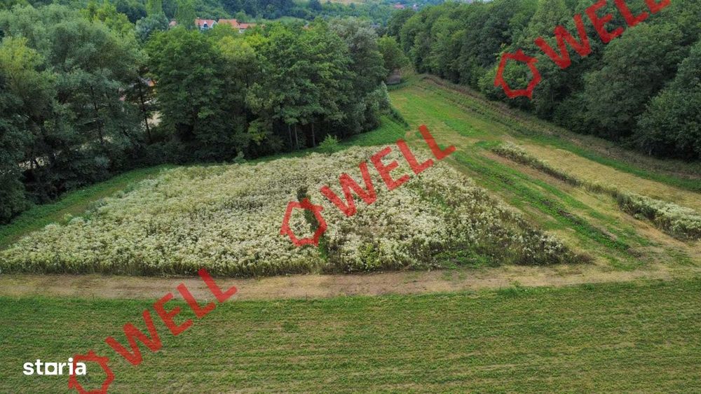 De vânzare proprietate de familie în Belin-Vale
