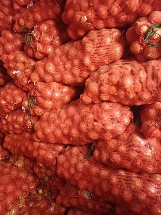 Лук репчатый сухой 30 тонн