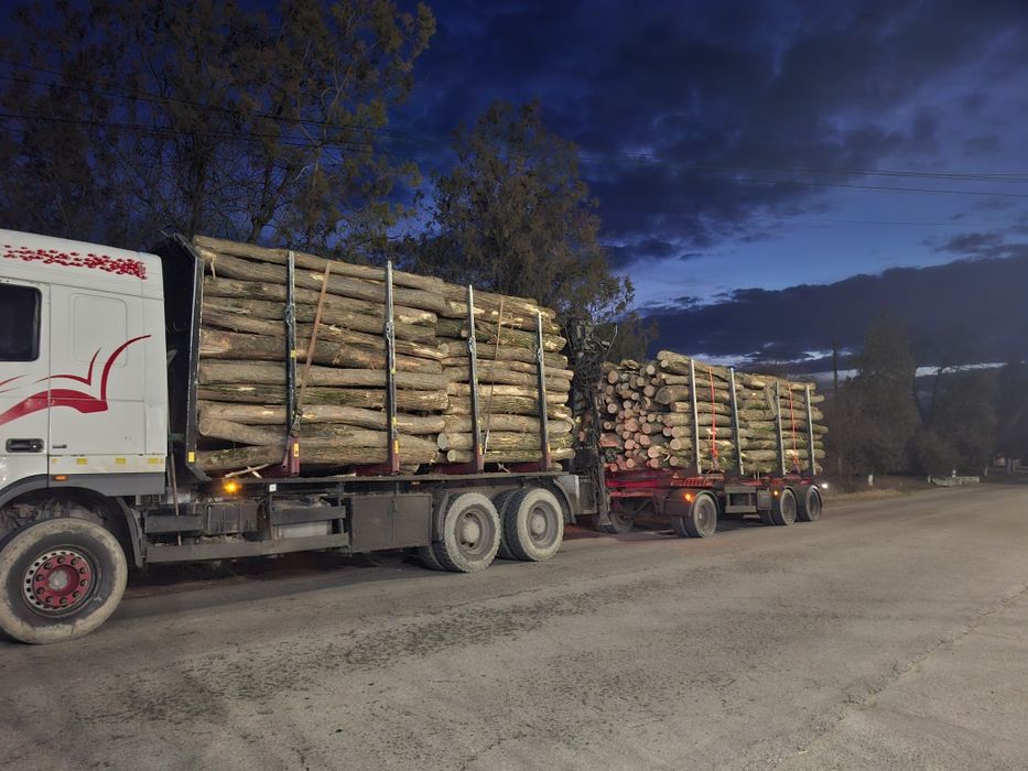 Lemn foc fag, transport inclus! Doar localitățile enumerate!tl