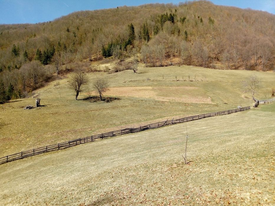 Teren de vânzare cu casă în Apuseni