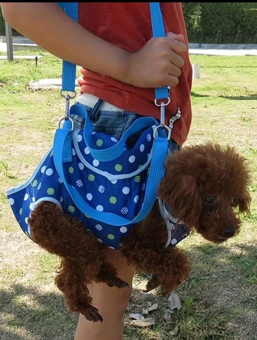 Vand gentuta pentru catel/pisica