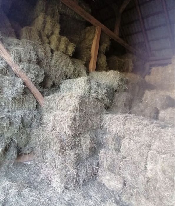 Baloti de lucerna si fan de vanzare!