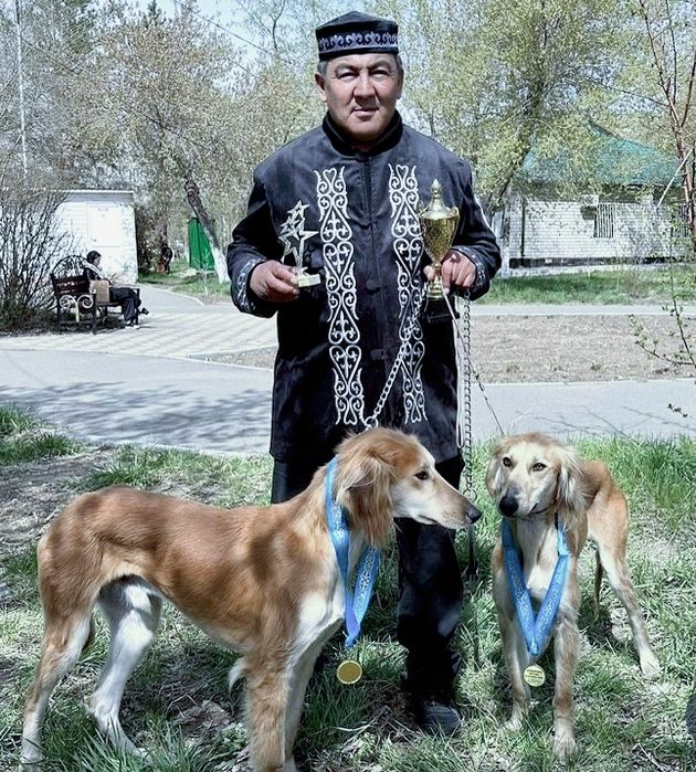 Дрессировка собак