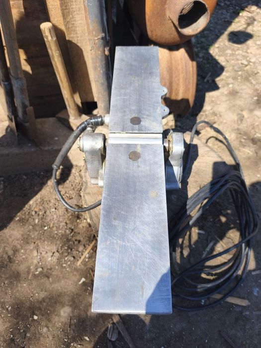 Rindea electrica, abricht, abric