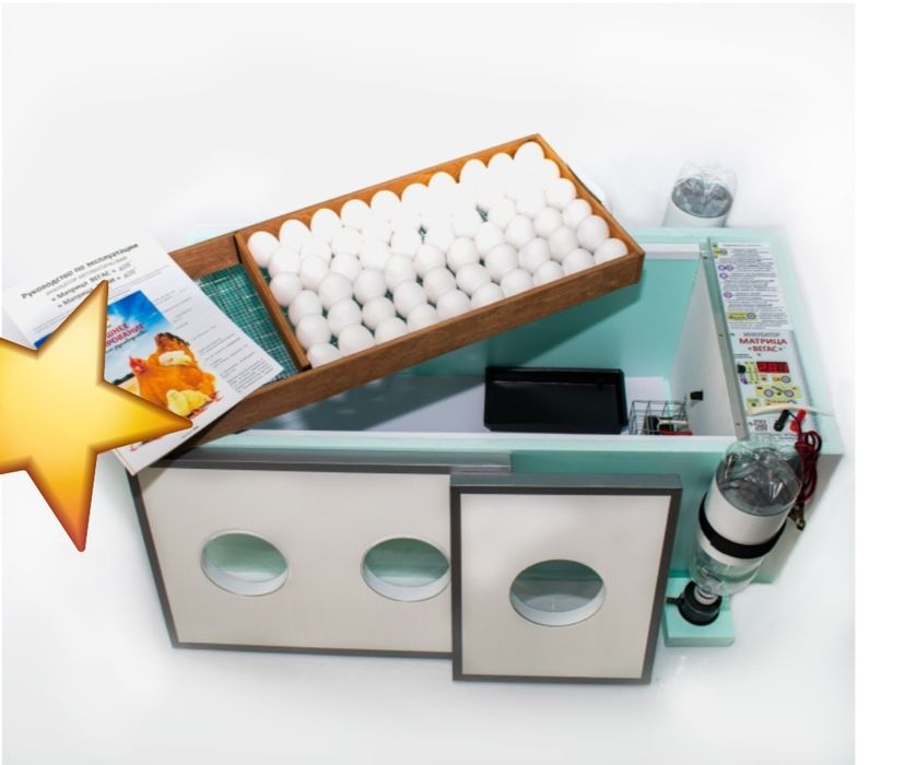 Матритса вегас сатылады