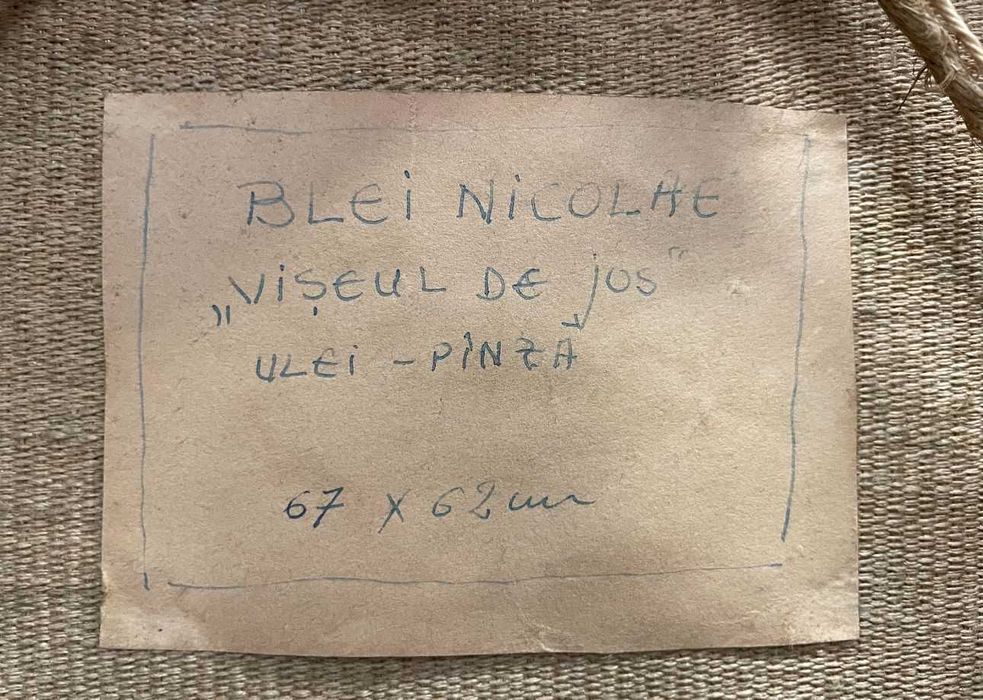 Tablou Blei Nicolae - Liquid Money Asii Amanetului