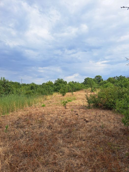 Продава се Парцел в Хасково, Дружба 1 - 256 кв.м за 25 €/кв.м - Снимка #6