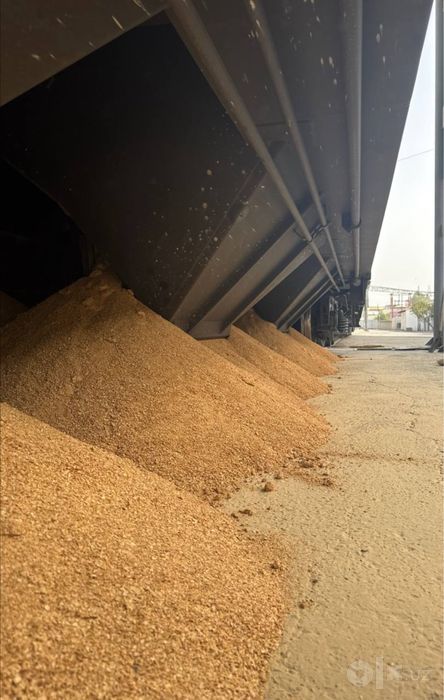 Soya shrot protayin 46%