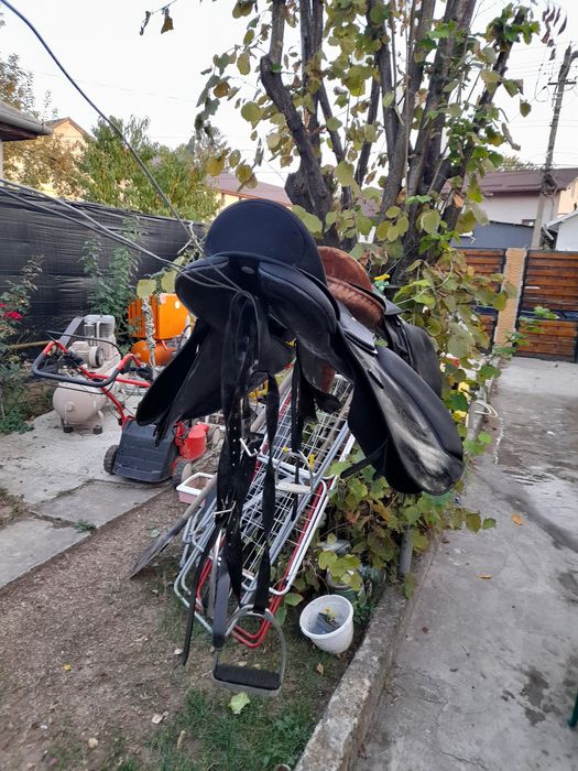 Sa calarie universala wintec 2000 Echitație