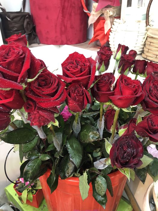 Розы оптом с доставкой