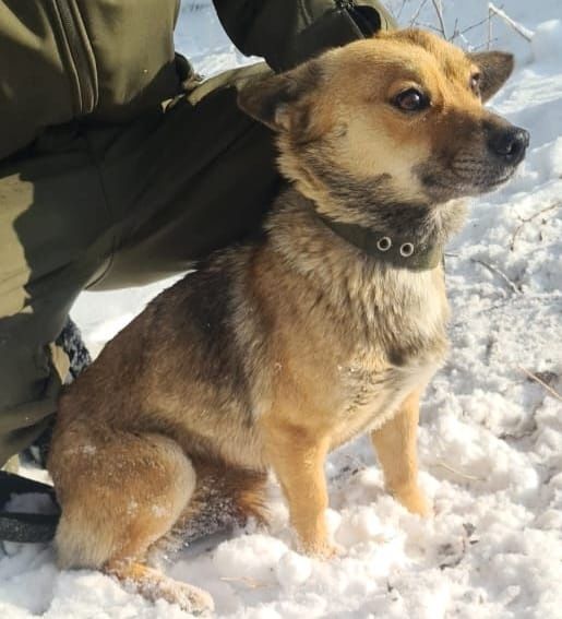 Кому ЗвонОчкоВ и СтороЖей