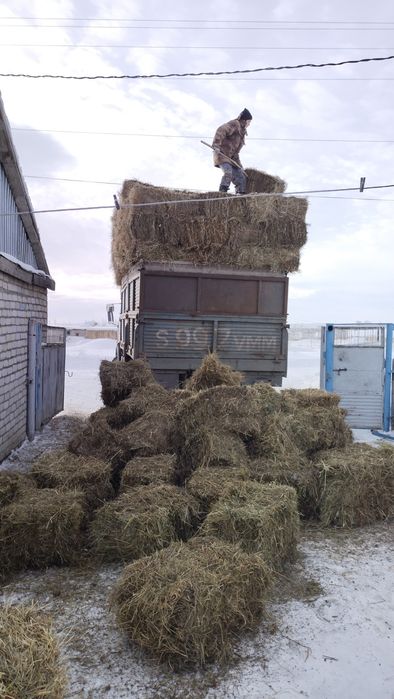 Тюковые сено Житняк Разнотравья