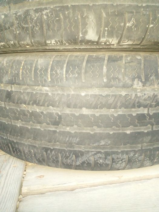 Донгелек  жагдайы жаман емес