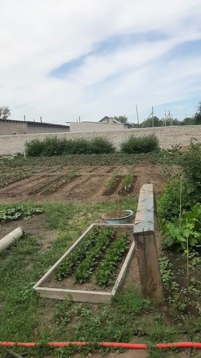 Дом в Уштобе   5 ком. СРОЧНО