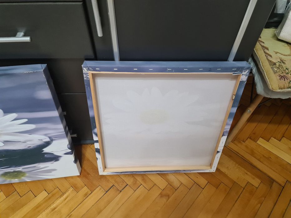 3 броя картини .