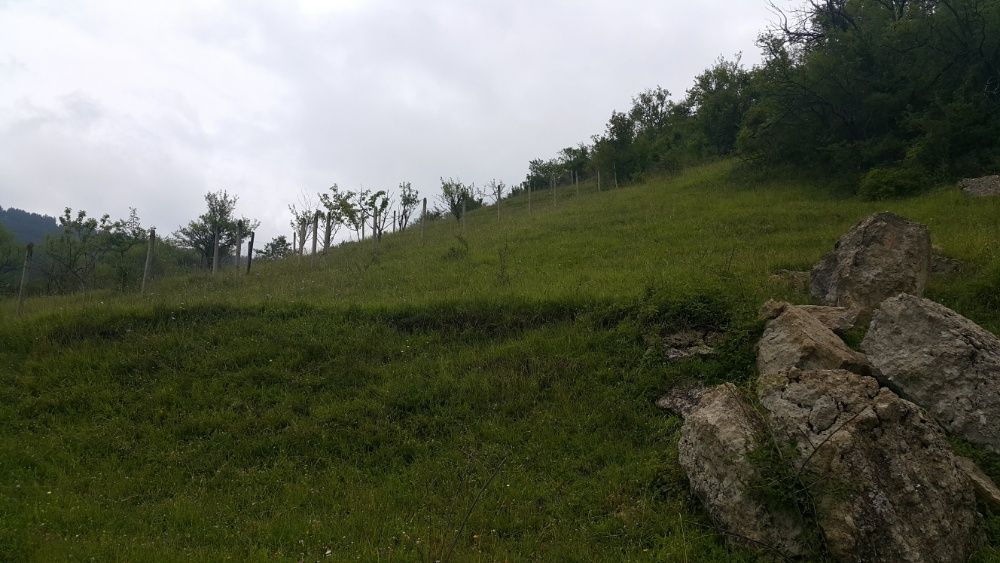 Продава се Парцел в с. Бов, Област София-област - 800 кв.м за 3 €/кв.м - Снимка #2