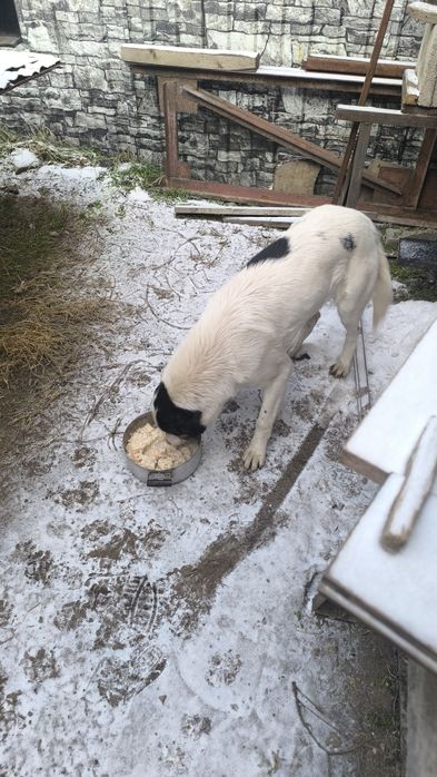 Девочка ищет заботливые руки