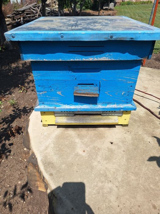 Рамки и пчелни кошери