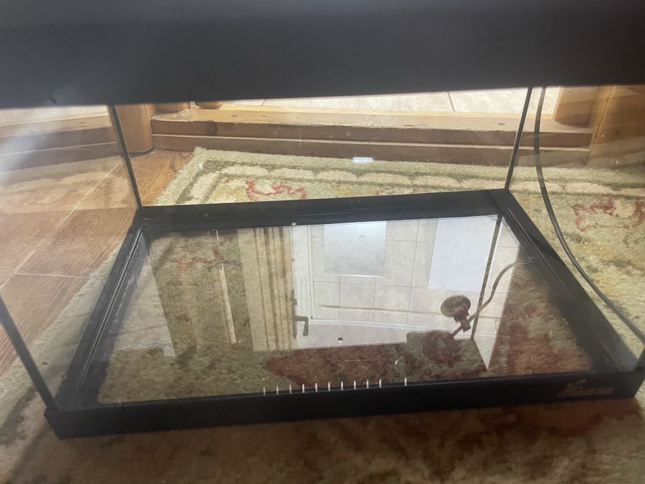 Avariu 60 de l vine cu tot ce ii trebuie