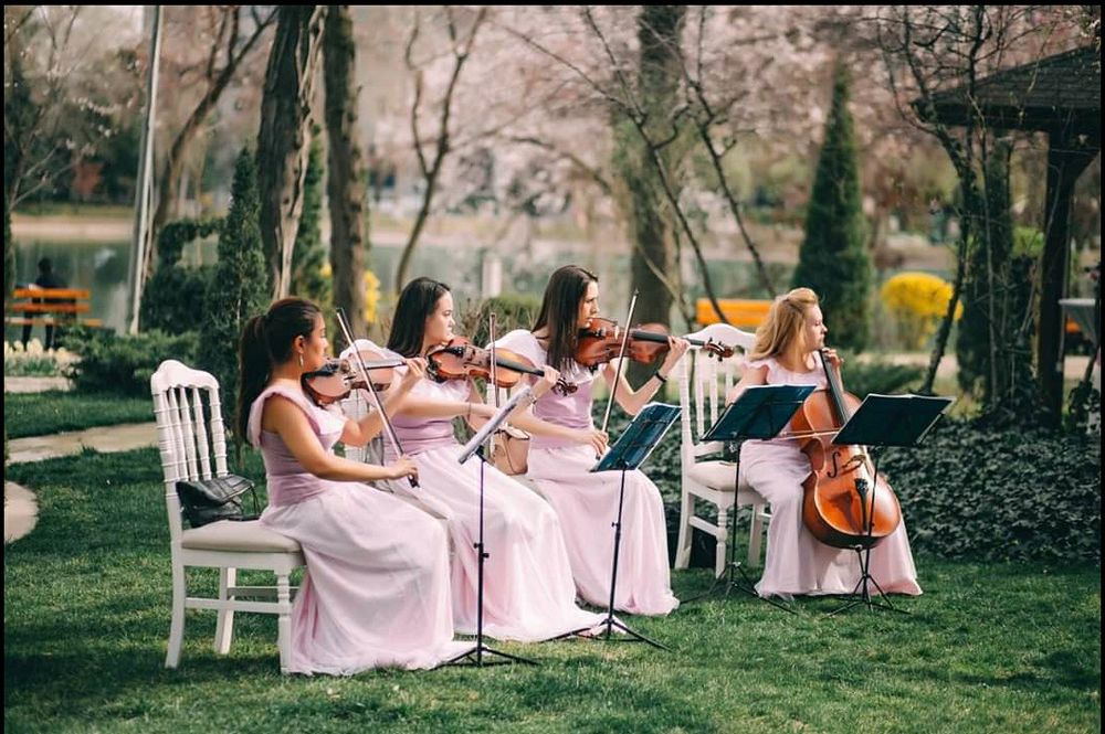Струнный Квартет(Оркестр, Дуэт,Трио).Свадьба,Загс,корпо