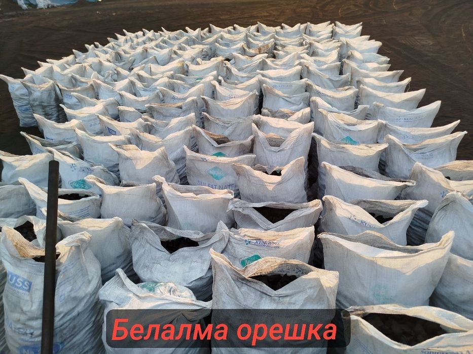 Кумир, Угол, Белолма оптом