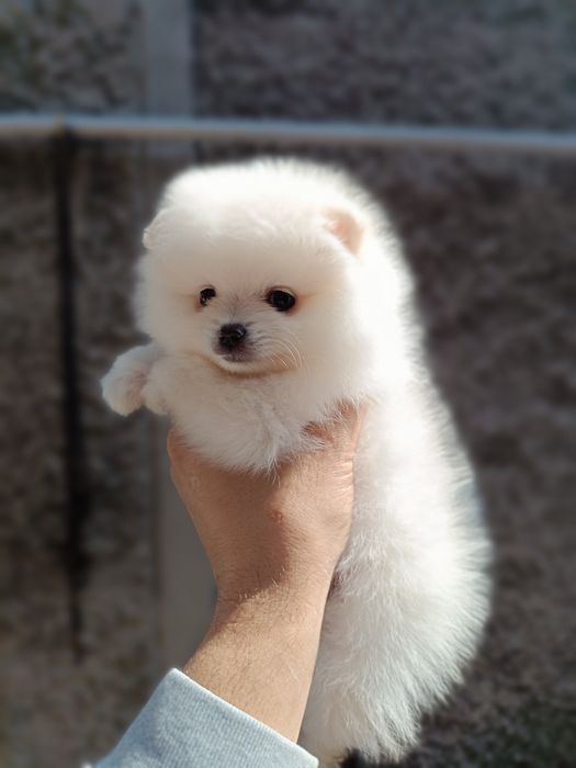 Красивые девочки и мальчики  &-